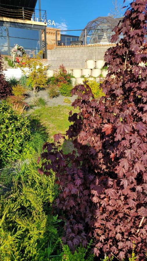 فندق Mi Casa سكوبجي المظهر الخارجي الصورة